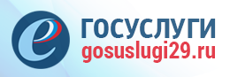 Госуслуги 29